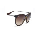 Ray Ban ERIKA RB4171 865/13 54 - Slika 3